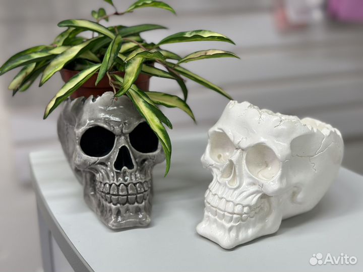 Кашпо органайзер Череп