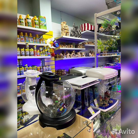 Аквариум в ассортименте