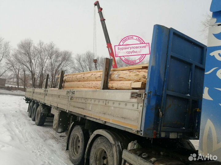 Срубы бань 3х5 от производителя, сосновый лес