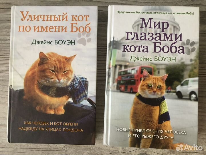 Книга про кота Боба