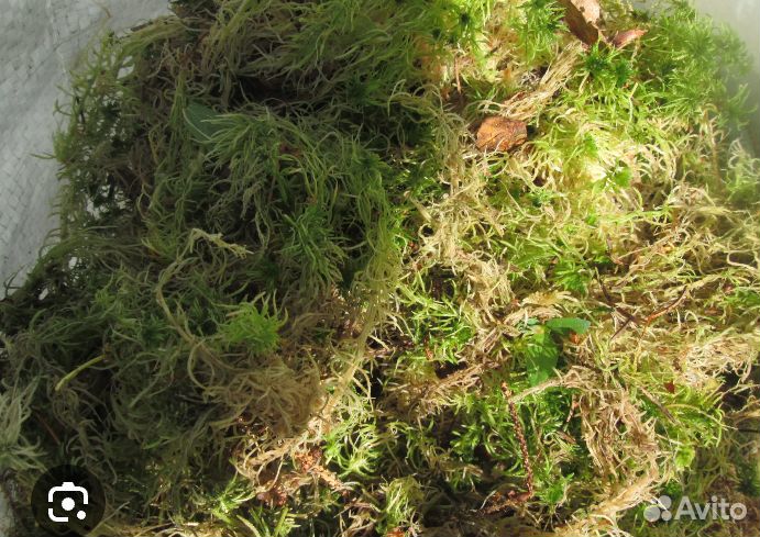 Кора сосны мешки 60л, шишка,мох