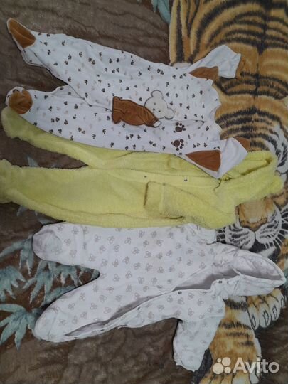 Отдам бесплатно