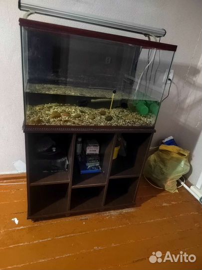 Аквариум