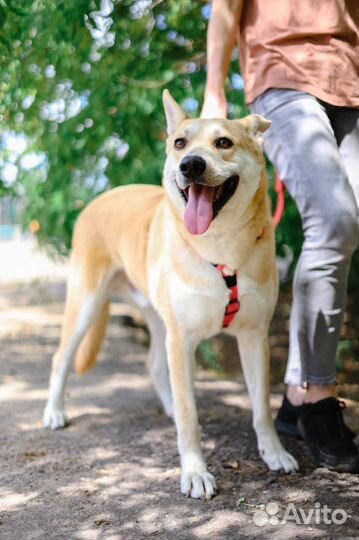 Выкинули на улицу