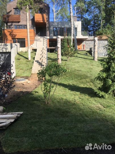 Рулонный газон, укладка, продажа