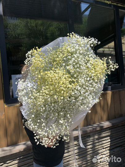 Гипсофила.Букет.Ромашка