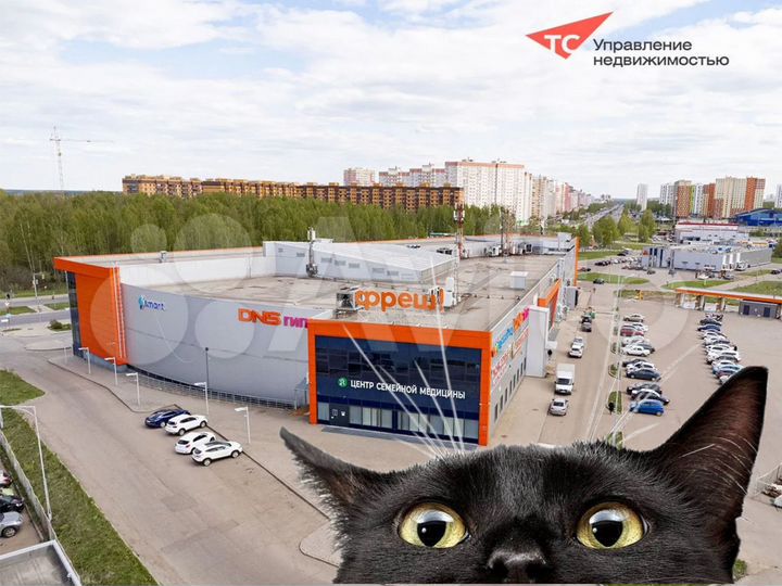 Торговая площадь, 58.9 м²