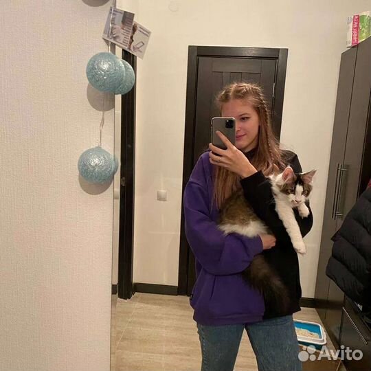 Выгул/няня для собак