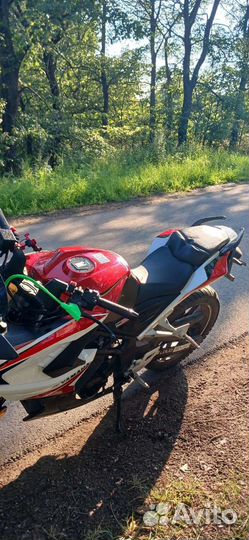 Racer storm 250