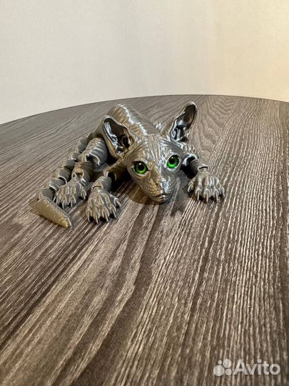 Котята сфинкс