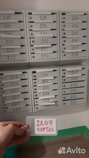 Промоутеры. Реклама по почтовым ящикам