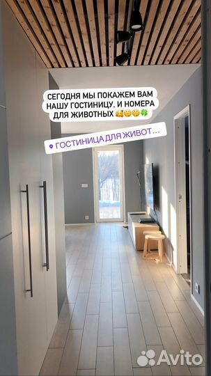 Передержка.отель для собак.гостиница для животных