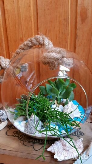 Флорариумы в морском стиле