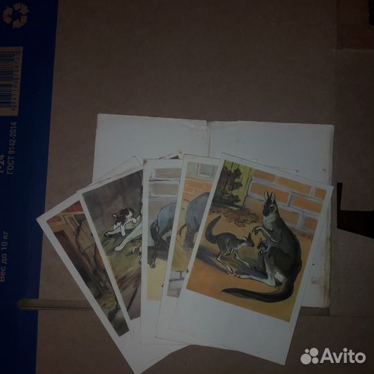 Лот открыток СССР 1960х (45 шт.)