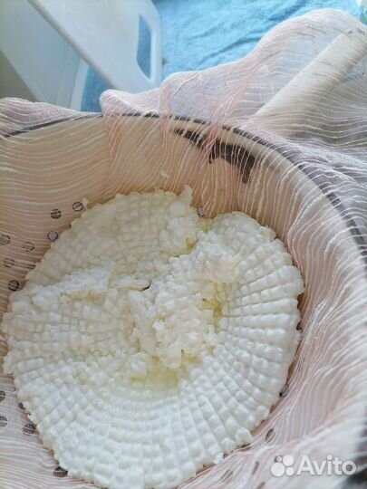 Домашний творог, сыр