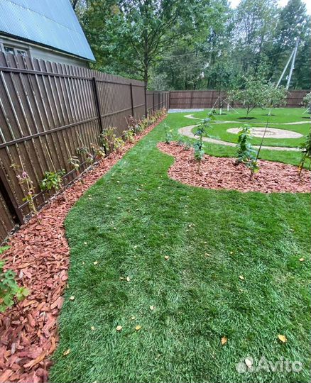 Рулонный газон / под ключ