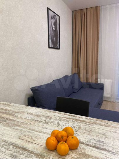 Квартира-студия, 26,6 м², 22/24 эт.