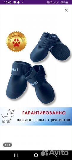 Обувь для собак