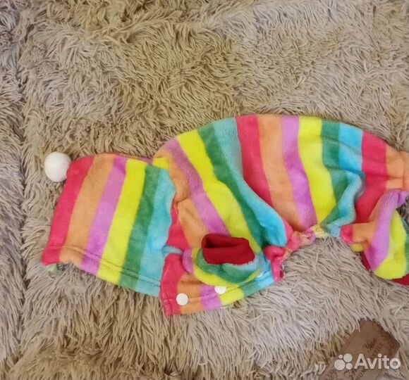 Комбинезон на собачку