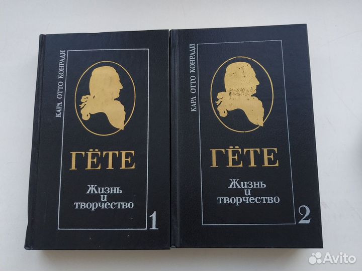 Гёте жизнь и творчество