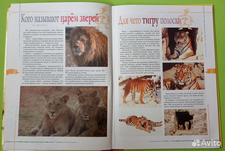 Книга-энциклопедия Животный мир в картинках