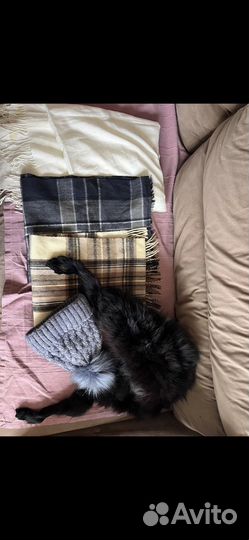 Шарфы и шапки