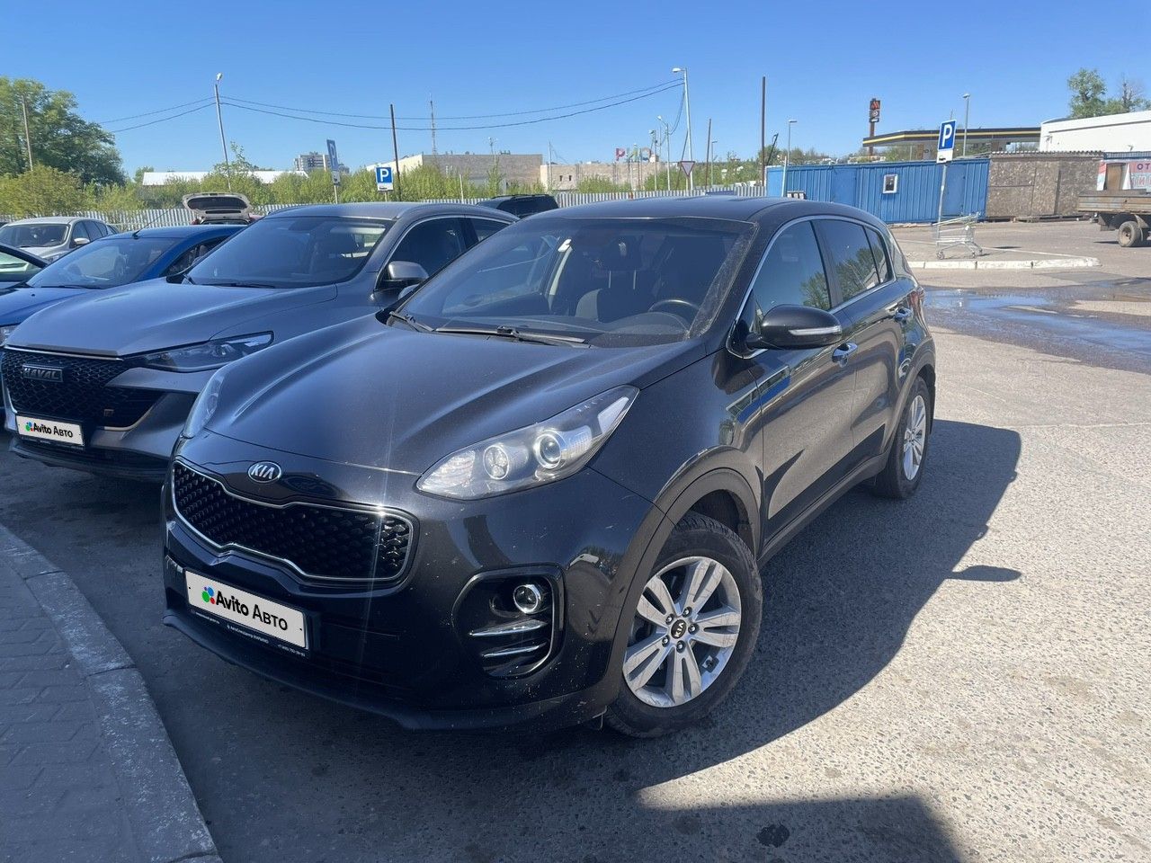 Kia Sportage: фото владельца