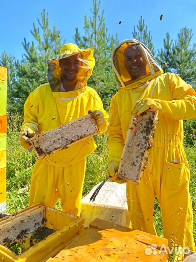 Инвестируйте в продукты питания от 50 годовых