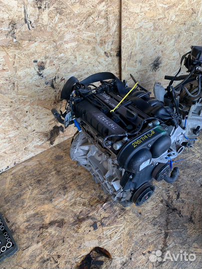 Двигатель ford focus 3 1.6 105