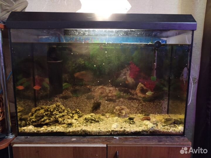 Аквариум с рыбками