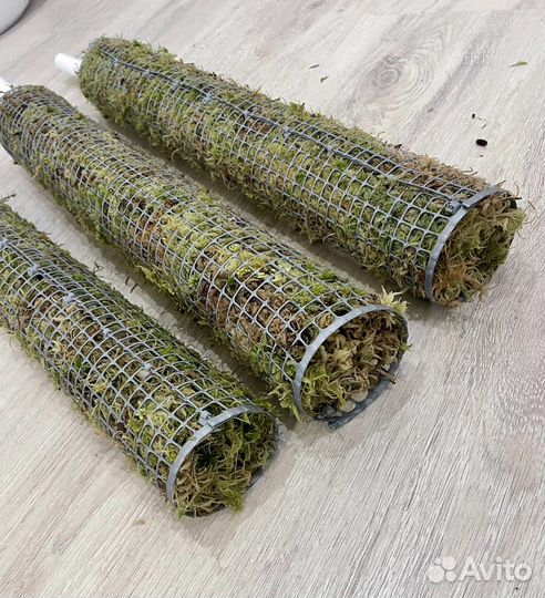 Опора для растений, тотем из мха