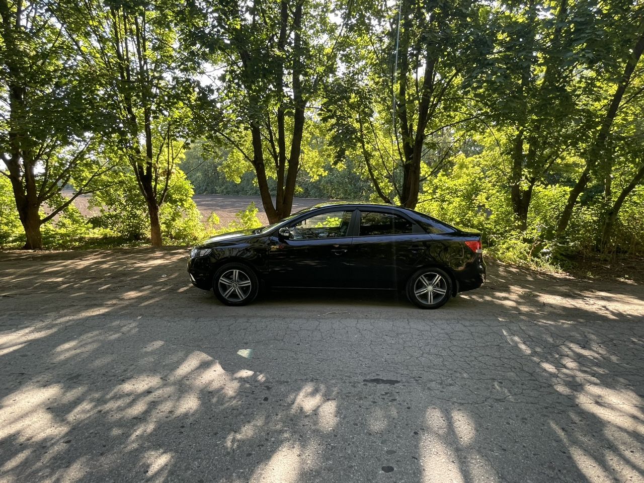 Kia Cerato: фото владельца