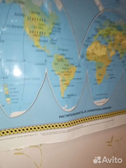 Карта мира на стену