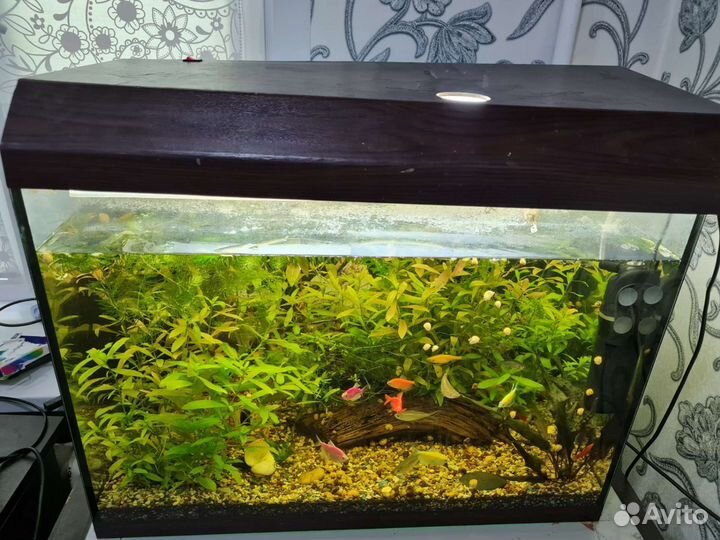 Аквариум 100л
