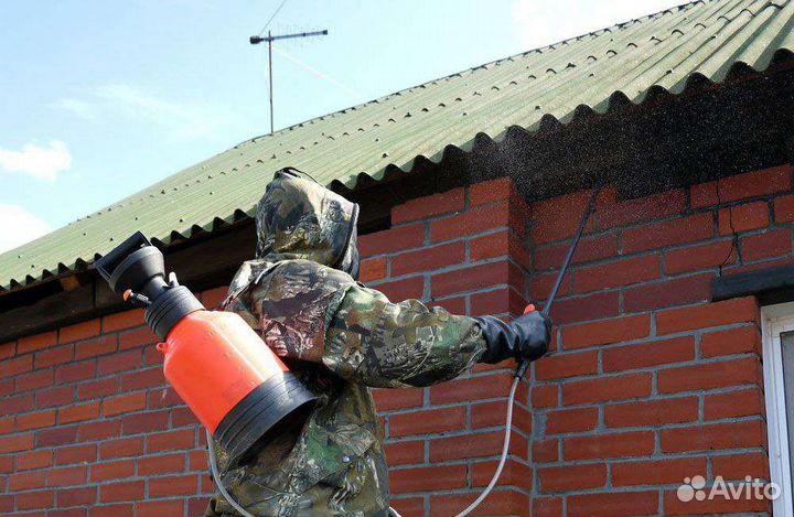 Уничтожение ос,шершней