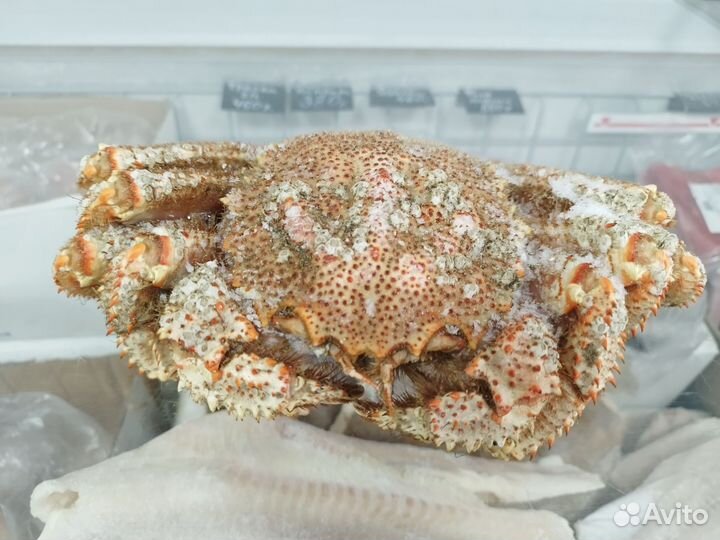 Рыба икра морепродукты