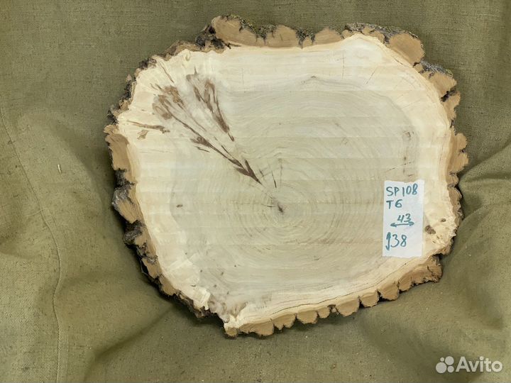 Спил тополя