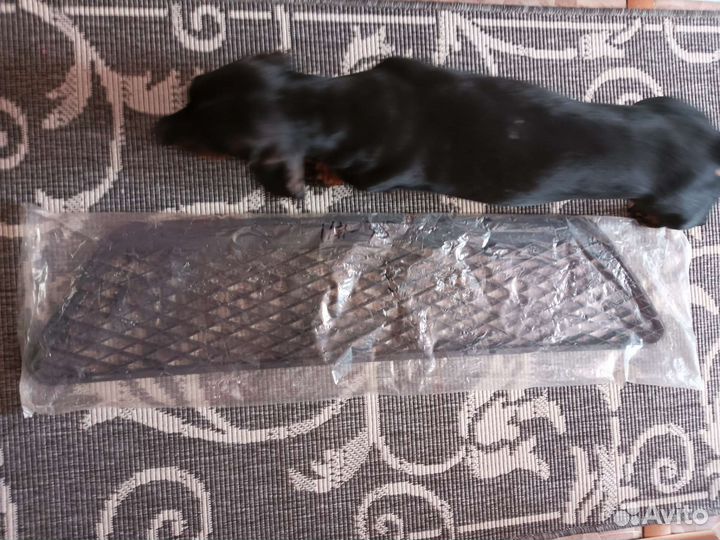 Решетка бампера ford focus 2 lq-fks-074