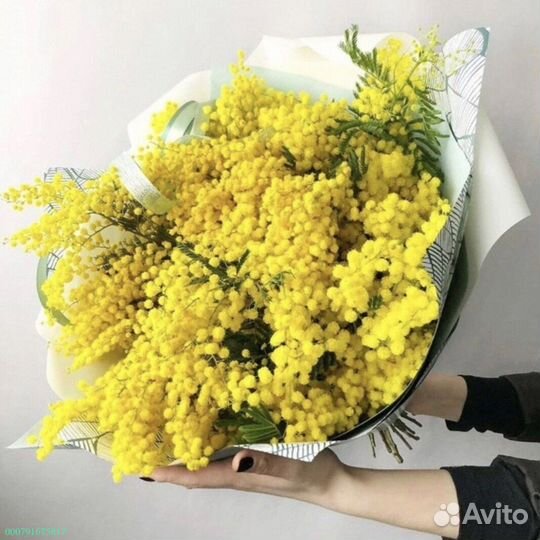 Букеты из мимозы (Арт.54251)