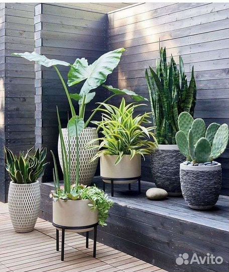 Озеленитель, садовник, фитодизайнер