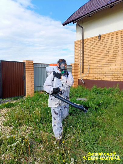 Дезинфекция