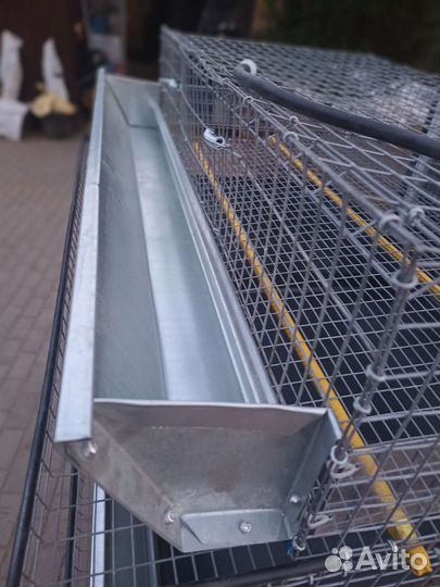 Клетка для перепелов на 60 перепелов