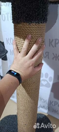 Когтеточка домик для кошки новый