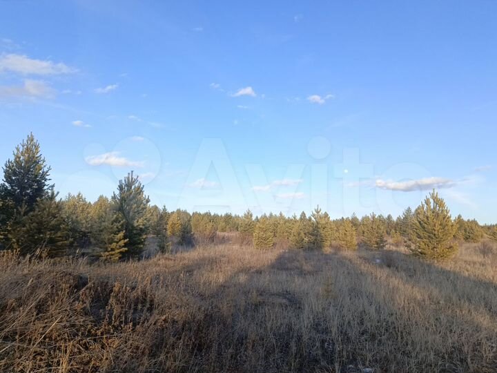 Участок 8 сот. (ИЖС)