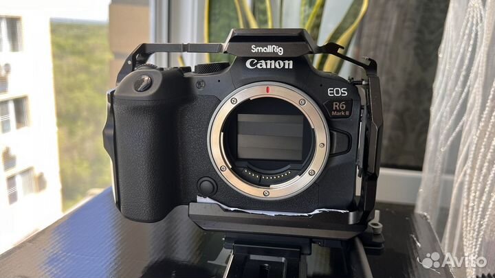 Canon eos r6 mark ii body