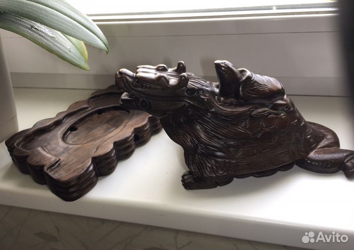 Драконовая черепаха с черепашонком