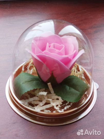 Роза в куполе