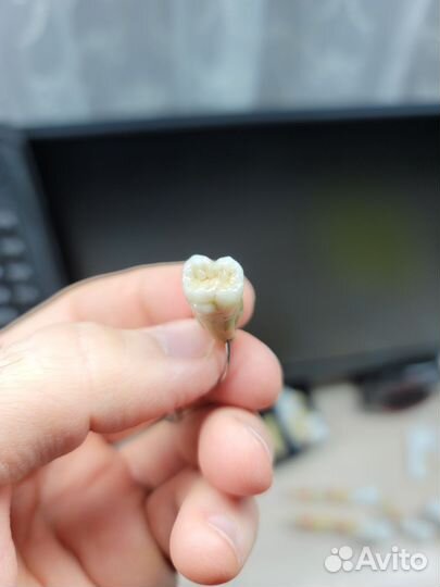 Ручная работа.Брелок Зуб металлокерамика