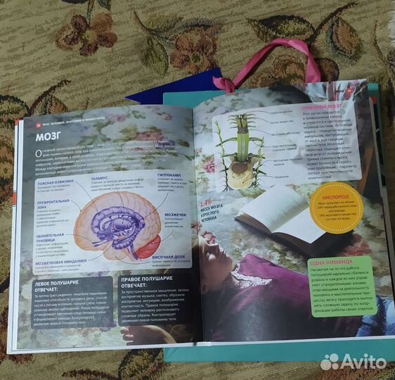 Детская энциклопедия