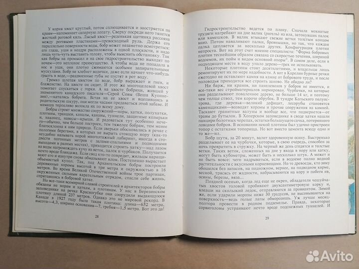 Замечательные звери Старикович С.Ф